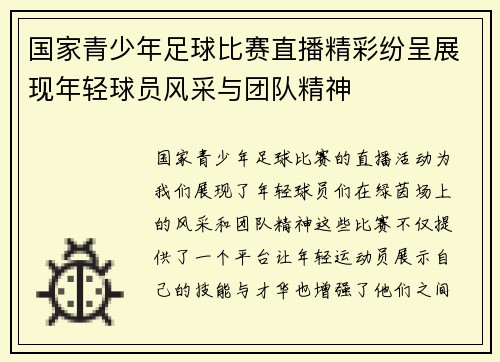 国家青少年足球比赛直播精彩纷呈展现年轻球员风采与团队精神